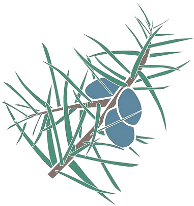 Sosiaalipalvelu Takala Oy / Lastenkoti Villa Kataja